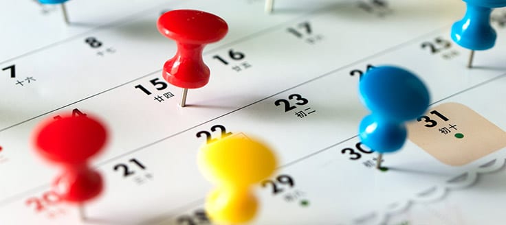 Thumbtack pins stuck to a calendar marking a business consultant's tasks
