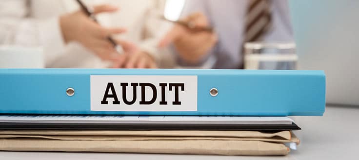 IRS employees sit at a desk. A binder with “audit” written on its spine and file folders sit in a pile on the desk.