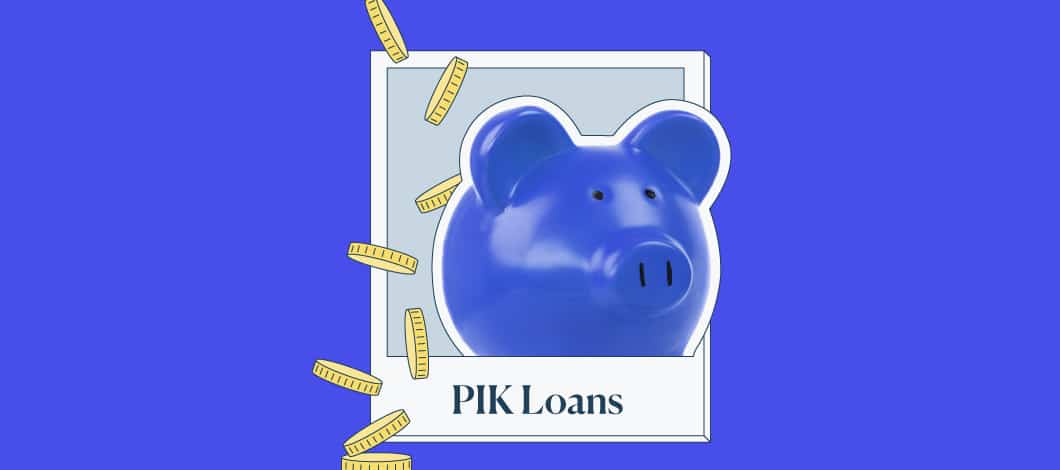 PIK Loans piggy bank graphic