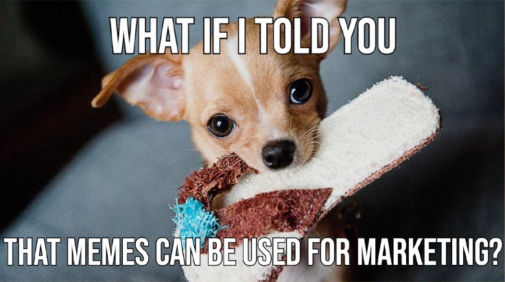 The nature of memes makes them popular for sharing on social media.