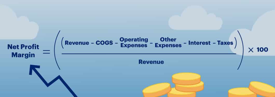 Net profit margin formula